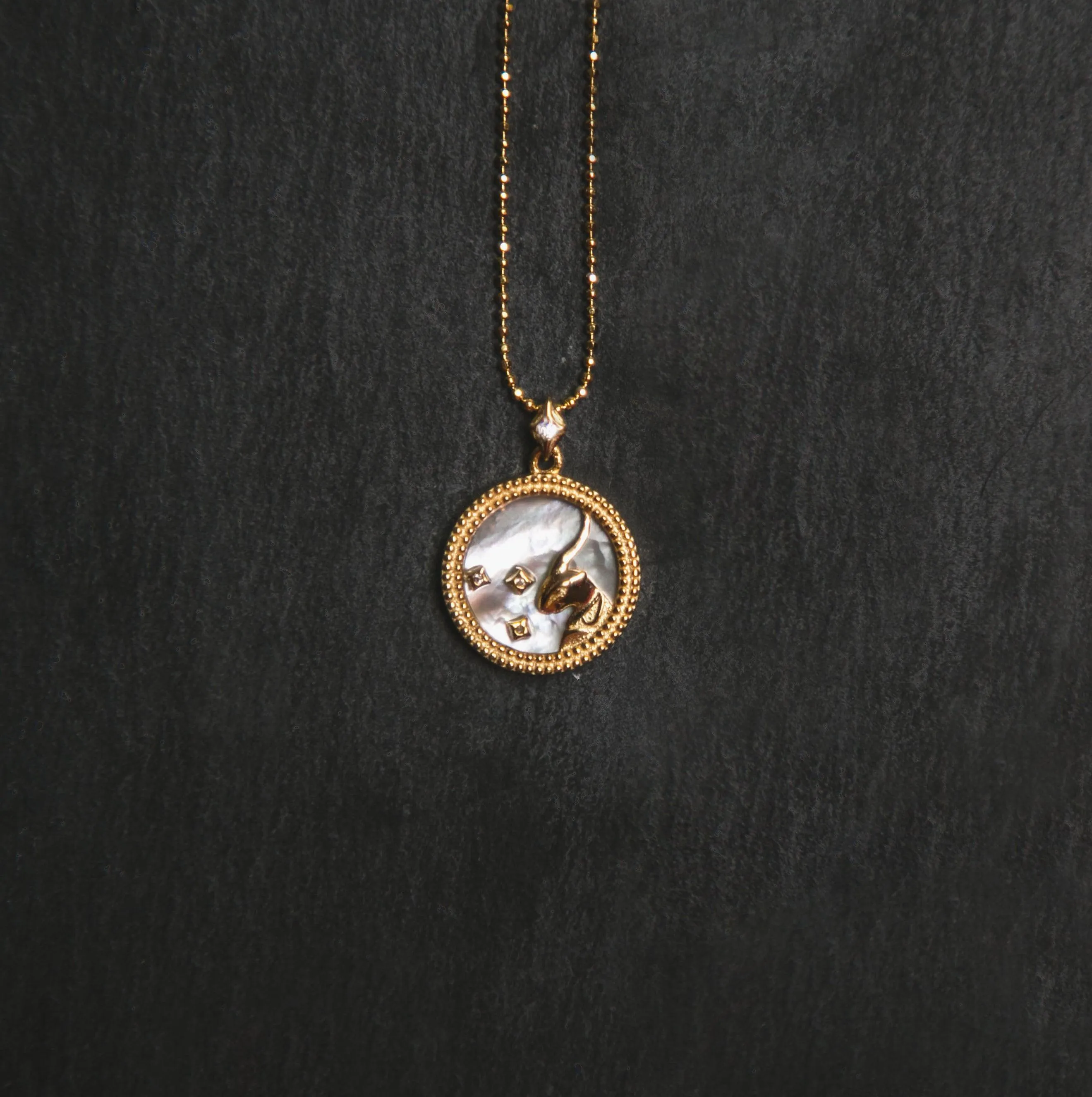 Asta Zodiac Star Sign Necklace - Mother of Pearl | 18K Gold Plated