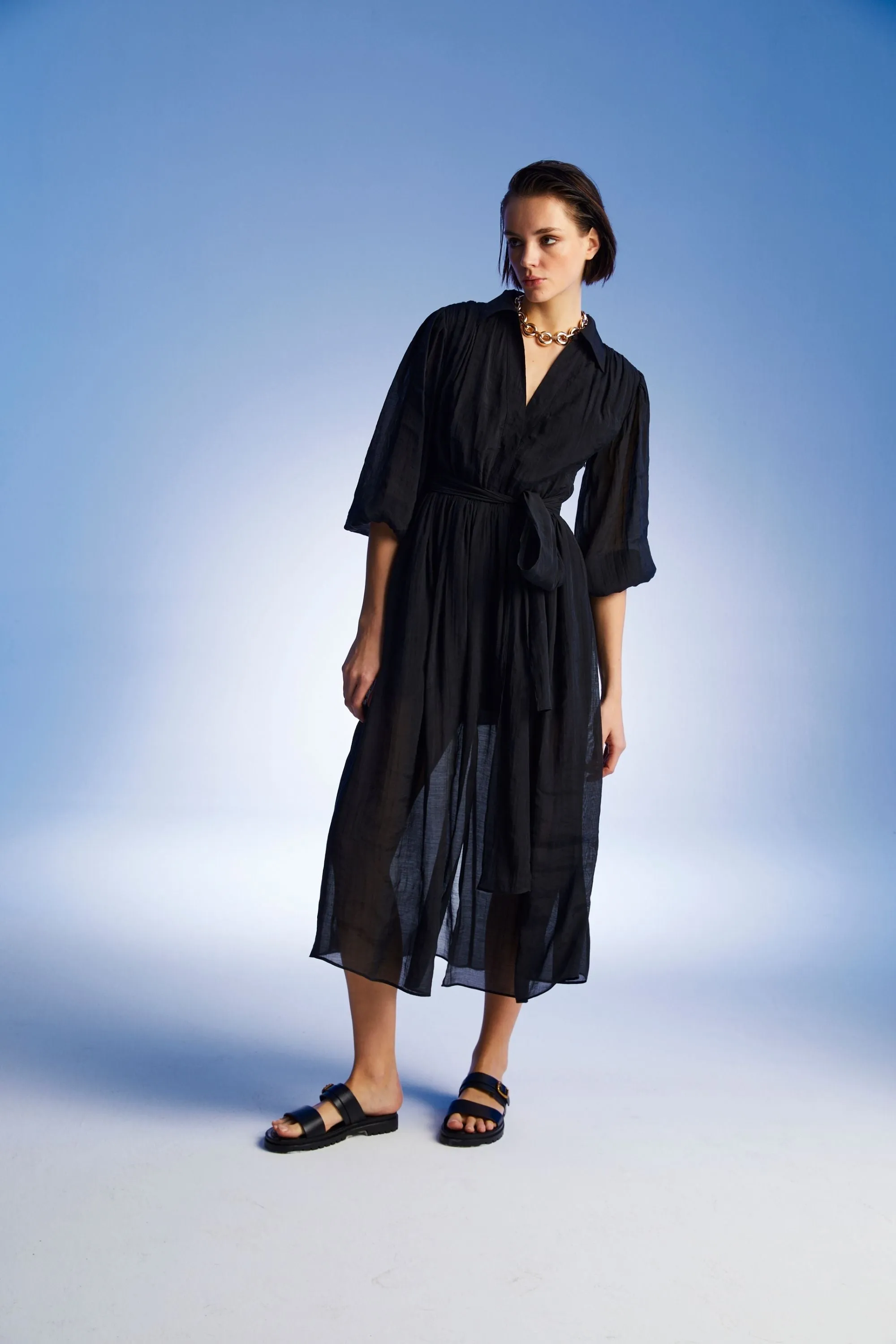 Balloon Sleeves Dress